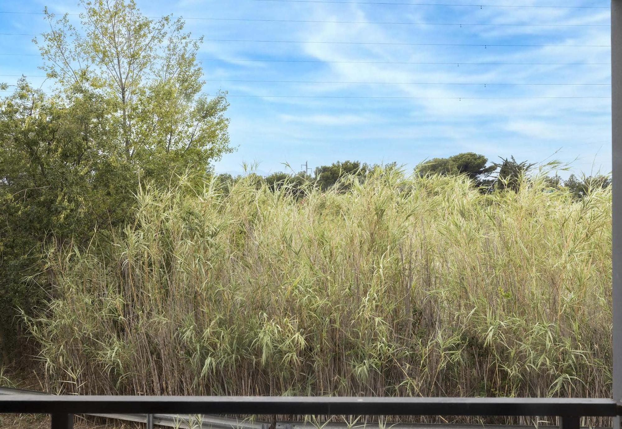 Sud Porte D'espagne Perpignan